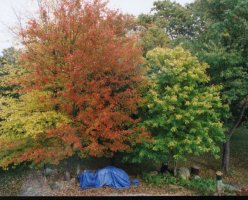 2Kcolorthb.jpg (18556 bytes)